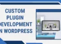 Unlocking the Power of Custom Plugin Development in WordPress