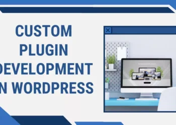 Unlocking the Power of Custom Plugin Development in WordPress